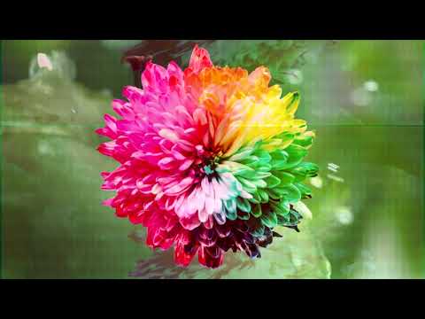 Luca riVer - Italy 1992  (Hard Vision Mix 2023)