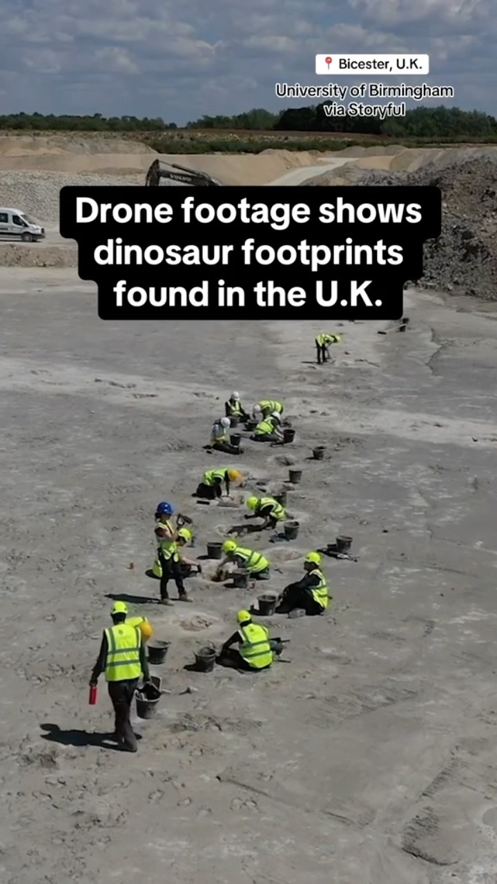 Drone footage shows dinosaur footprints found in the U.K. #shorts