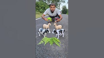 Remote Control 4 Ta Horse And Caw Unboxing 😱 #animals #shorts