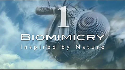 Биомимикрия. Искусство движения (часть 1)