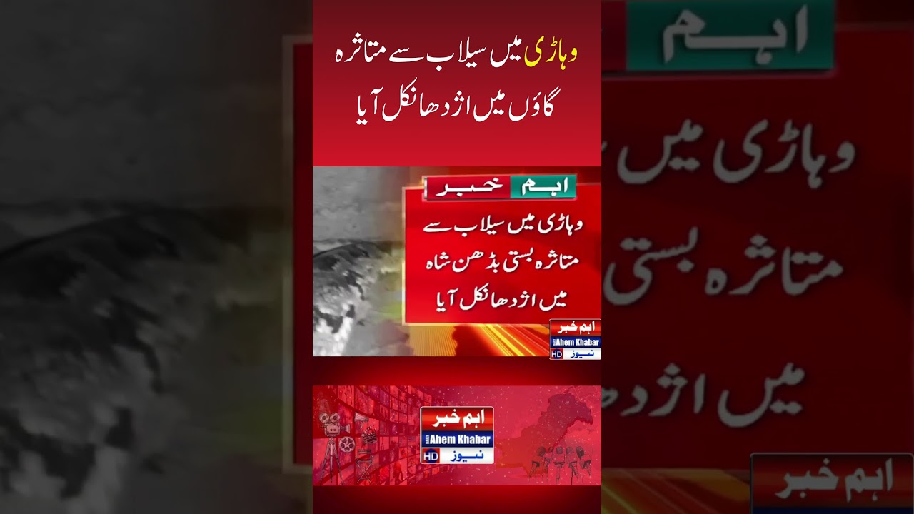 Python Emerged in Flood Affected Village in Vehari