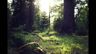 MaxVssR - In The Woods