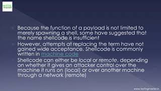 Famous ShellCode Wealth