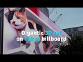Gigantic 3D cat on Tokyo billboard