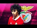 JOÃO FELIX - Genius Skills, Passes, Goals & Assists - 2018 (HD)