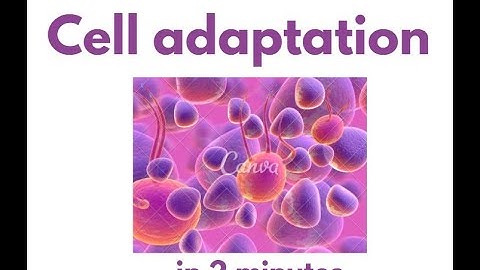 Cellular adaptation in under 2 mins!