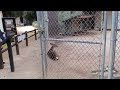 San Dimas Canyon Nature Center part 3.