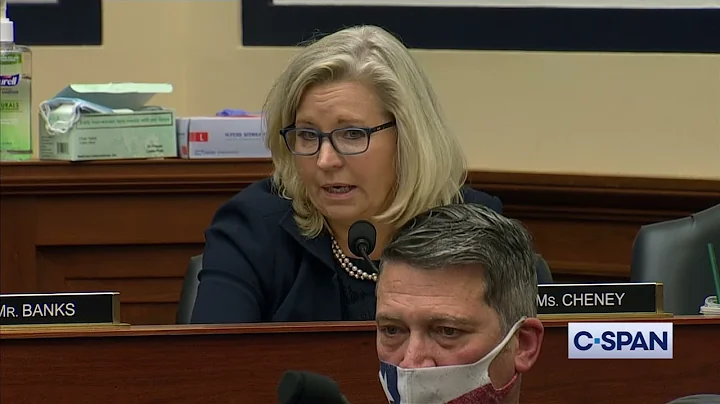 Rep. Liz Cheney Thanks Gen. Milley for "Standing i...
