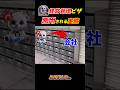 【悪事暴露】経営管理ビザの実態!!日本が食い物にされてる…#日本#政治#鈴木信行#日本国民党#ニュース