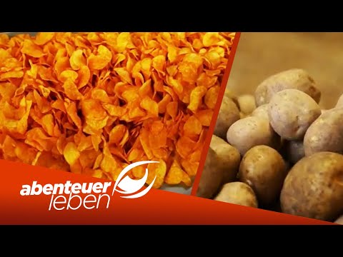 Video: Wo werden Knabber-Kartoffelchips hergestellt?