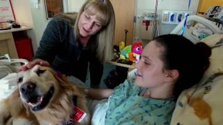Paws Can Heal Program Provides Hope, Healing and Care for Patients & Families.