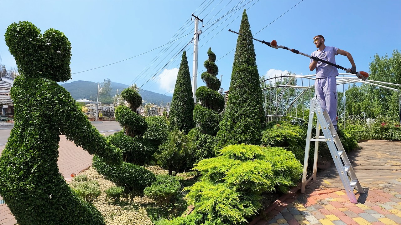 God Level Hedge Trimming — This Is Garden Art!