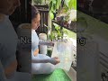 Prop box check-in 🌱 #gardening #propagation #youtubeshorts #plants