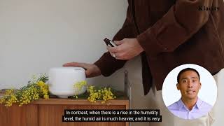 Does a humidifier help with asthma?