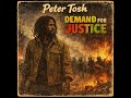 Demand for Justice - Pietro Tosh (tribute track)