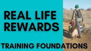 Real Life Rewards - Dog Training Foundations