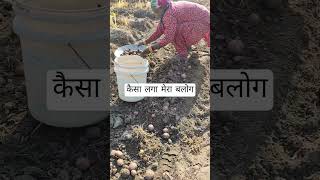 #funny #comedy #viralvideo #kusum #viral #yt #youtubevideos