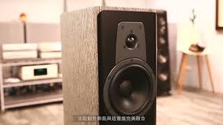 contour 20 DYNAUDIOペア　ホワイトオーク Dynaudio Contour 20 Bookshelf Speakers; Ivory Oak Pair | eBay