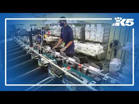 USPS whistleblower: Trump's mail-in voting plan is rushed