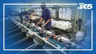 USPS whistleblower: Trump's mail-in voting plan is rushed