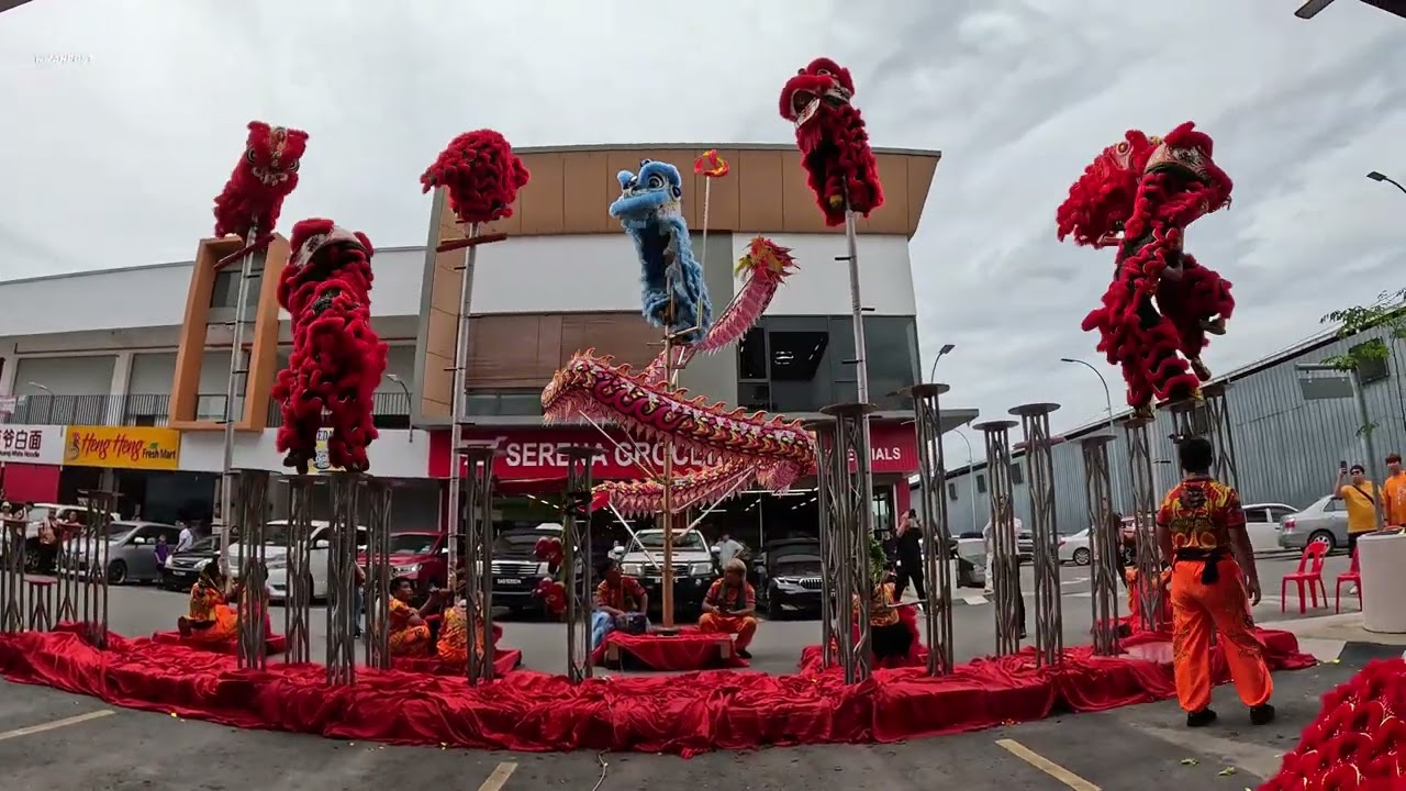 New shop opening performance by nanbang lion dance (highlights) 