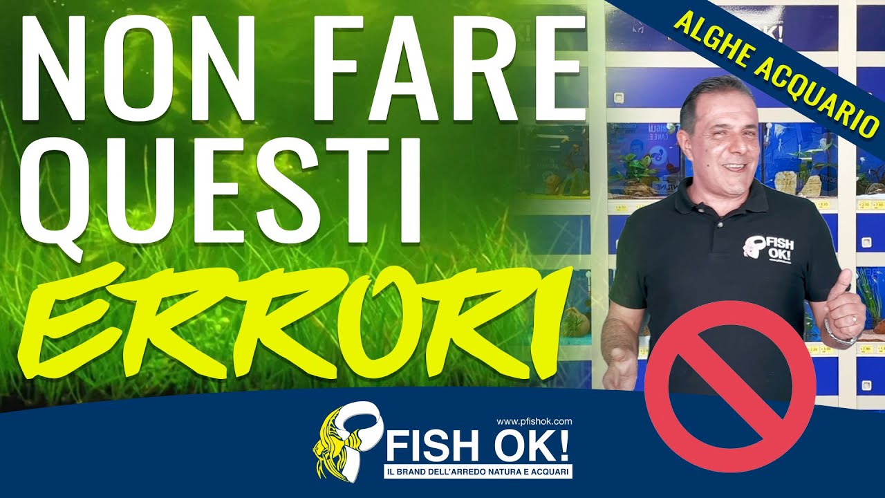 🌿 Errori che creano le Alghe in acquario - YouTube