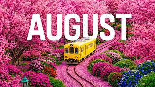 August 2026 🌸 Endless Summer Paradise 8K | Colorful Flower Fields & Beautiful Nature