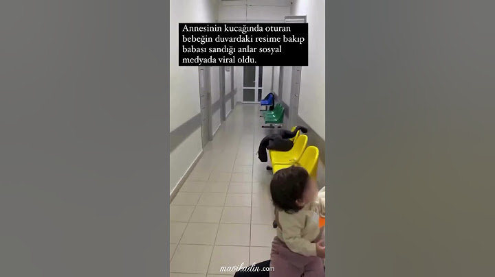 Pandayı Babası Zanneden Bebek Viral Oldu!  - Mavi Kadın