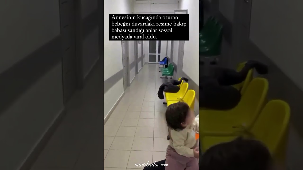 Pandayı Babası Zanneden Bebek Viral Oldu!  - Mavi Kadın