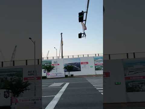 [날씨기록] 2026년 5월 30일 토요일 오전 5:13 🇰🇷 부산 강서구 명지동 🇰🇷 기온 16℃ 습도 96% 북풍 0.0m/s 초미세먼지 좋음