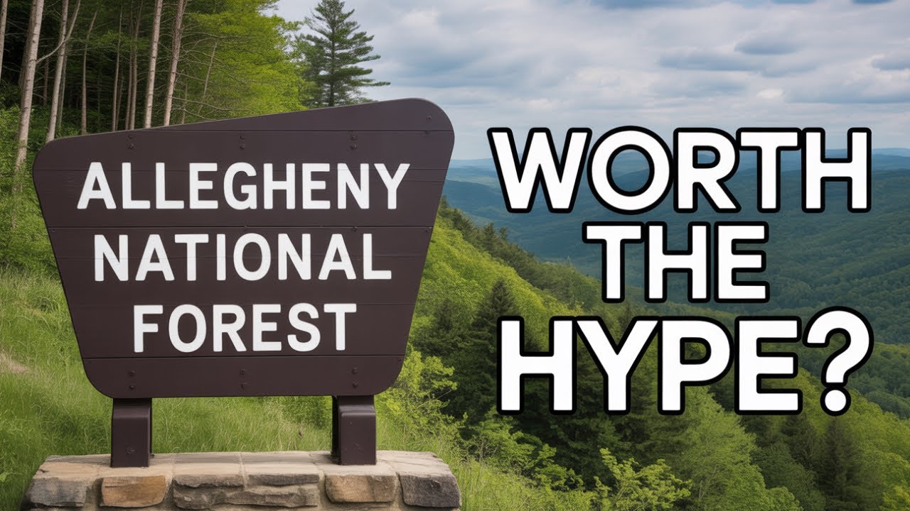 Is Allegheny National Forest Worth It? A Brutally Honest Review