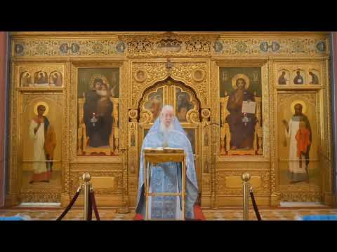 Video: Der Russische Priester Sprach über Das Gespräch Mit Charles Darwin Und Seine Reue - Alternative Ansicht