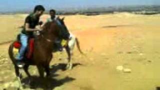 Nazlet El Seman Basam 0192992929