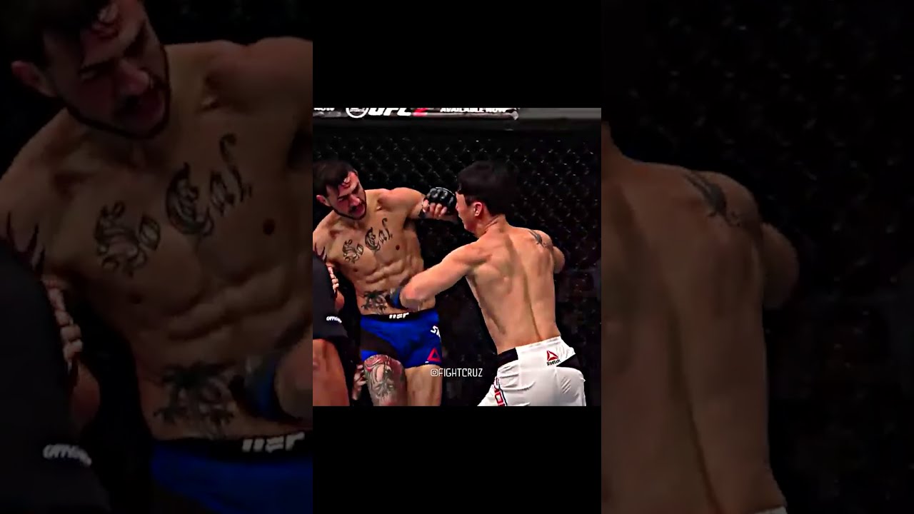 Cleanest Combos in UFC history!! 
