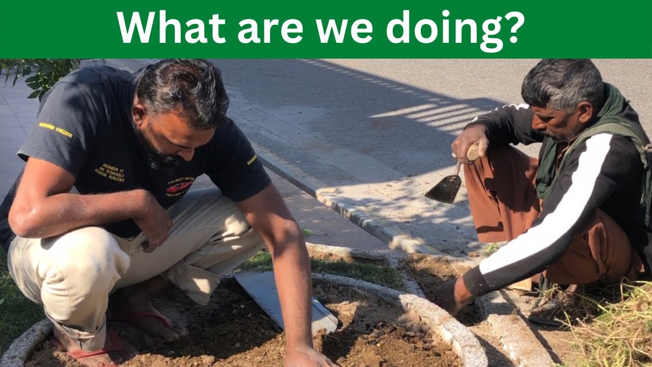 Gardening activity at my society lahoreUrdu/Hindi YouTube