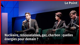 Nucléaire, renouvelables, gaz, charbon : quelles énergies pour demain ?