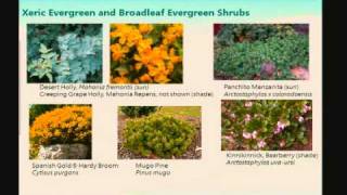 Xeriscape: Beyond the Basics