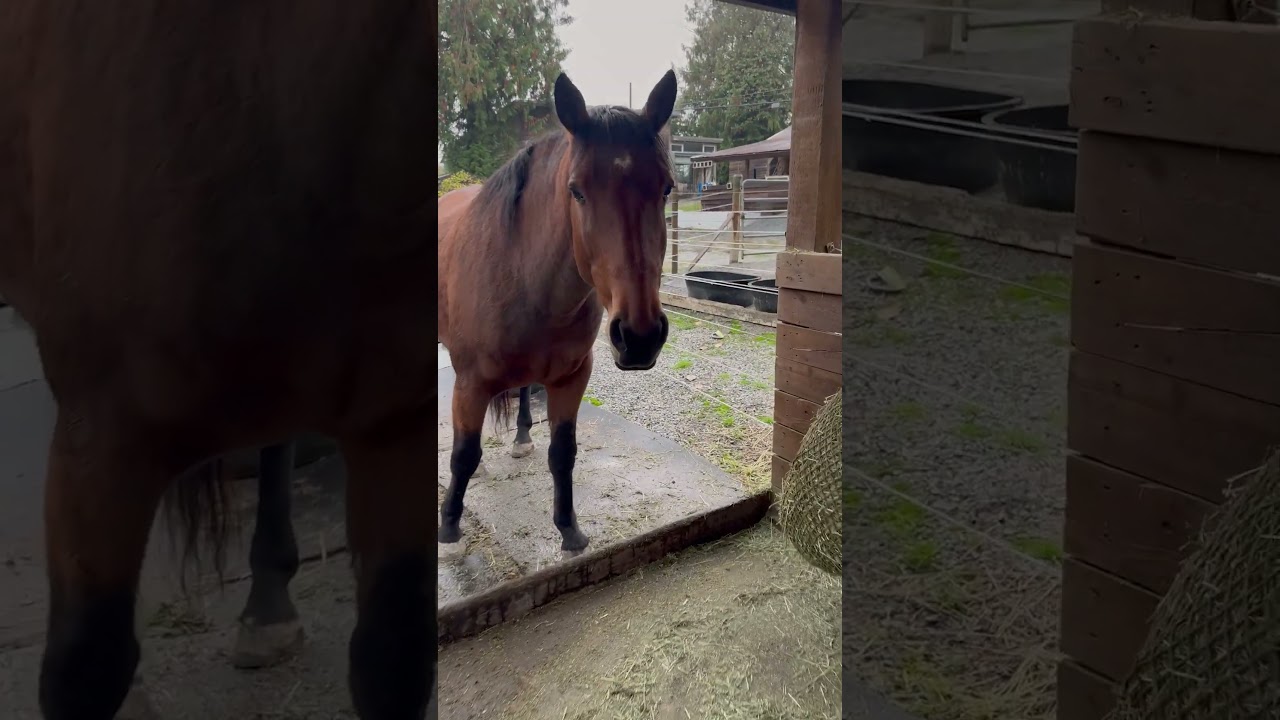 Какая прелесть!