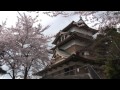 諏訪高島城の桜