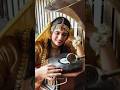 wedding night #trendingshorts #explorepage #love #malabar#shorts #areekuth kalyanam