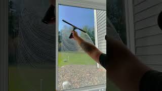 Whats Better Than A Clean Window?
