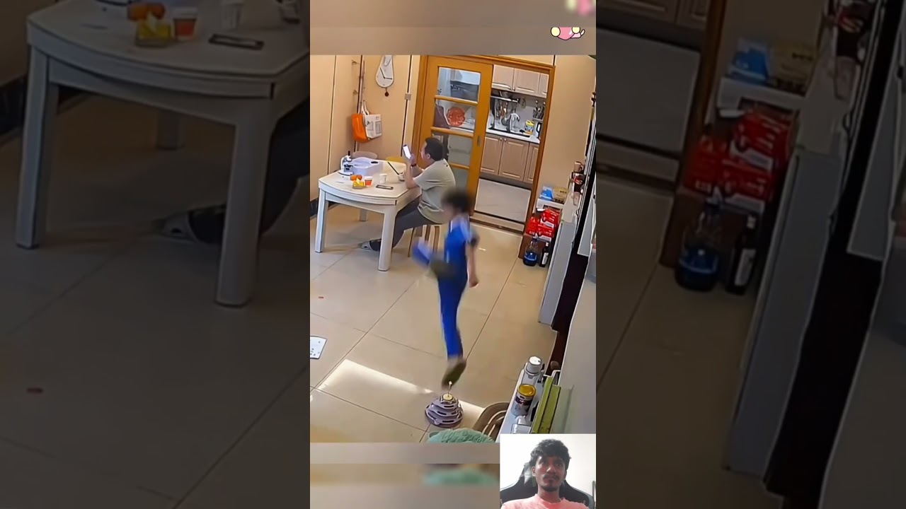 Try Not to Laugh Challenge 😹 | Funniest Cat Moments 