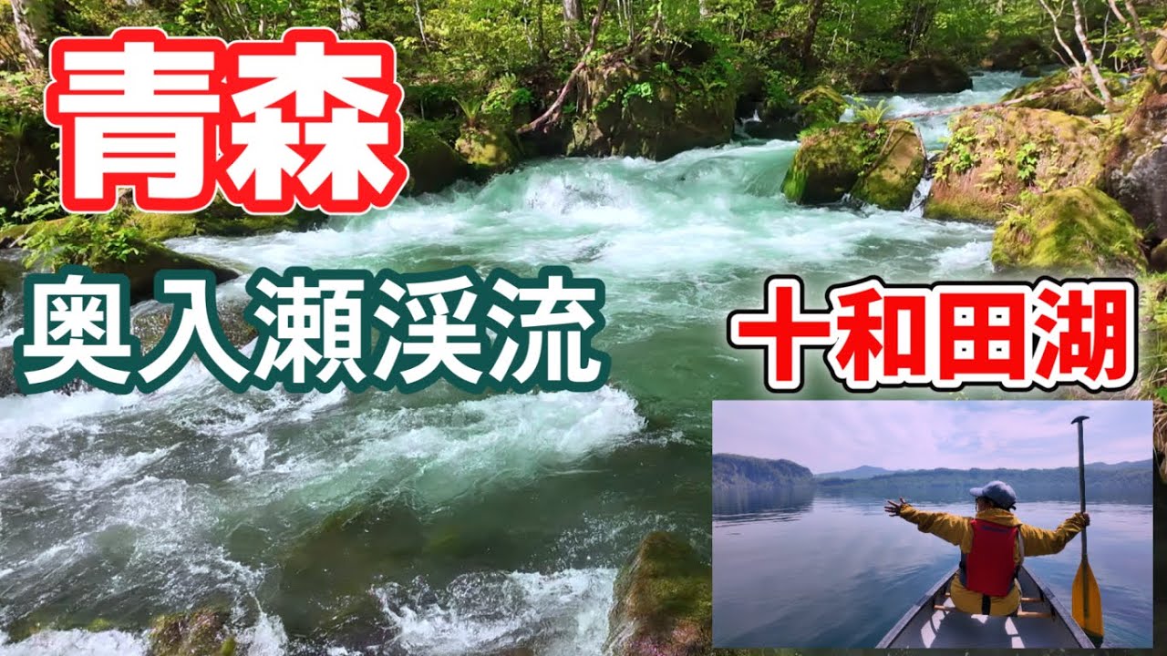 十和田湖〜奥入瀬渓流】外せない青森絶景スポットで大自然を満喫でき