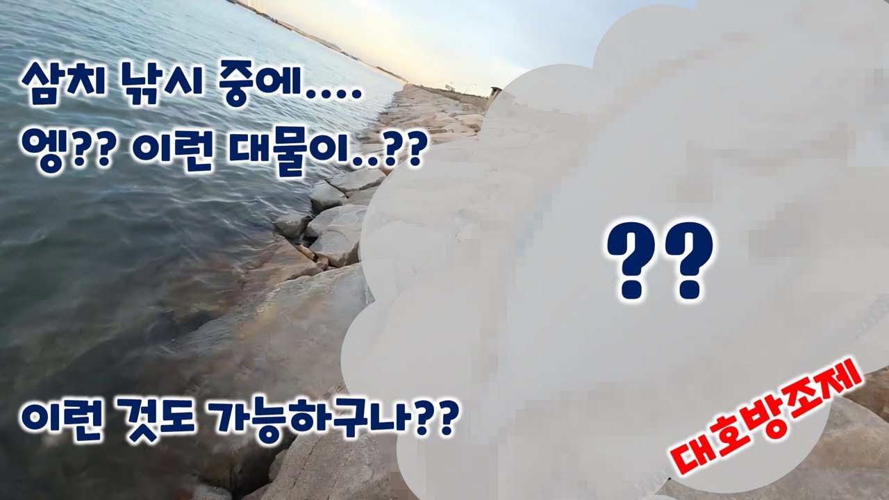 대호방조제 삼치 낚시 즐기기