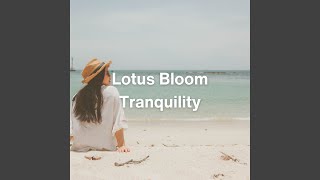 Infinite Hush (Relaxing Ambient Music)