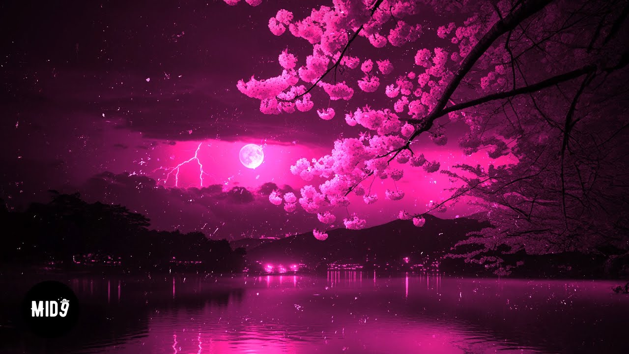 KIT \u0026 SHX4 - SAKURA! 💫 AGGRESSIVE TRAP PHONK