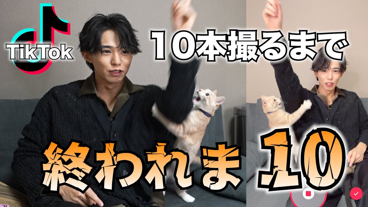 【猫】150万人越えTikTokerの俺がTikTok10本撮れるまで終われま10！！