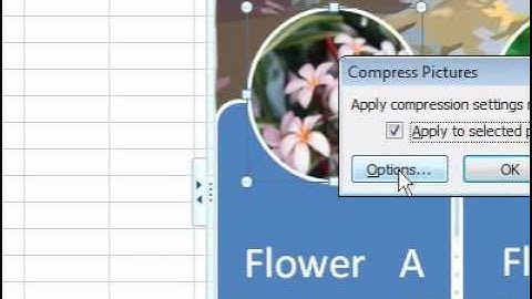 How to compress a single picture in Excel