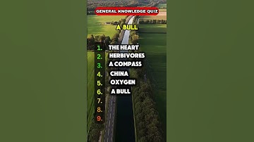 Trivia Time! Test Your Random Knowledge in 10 Minutes!