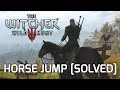 The Witcher 3 How To Jump On A Horse Problem Solved 